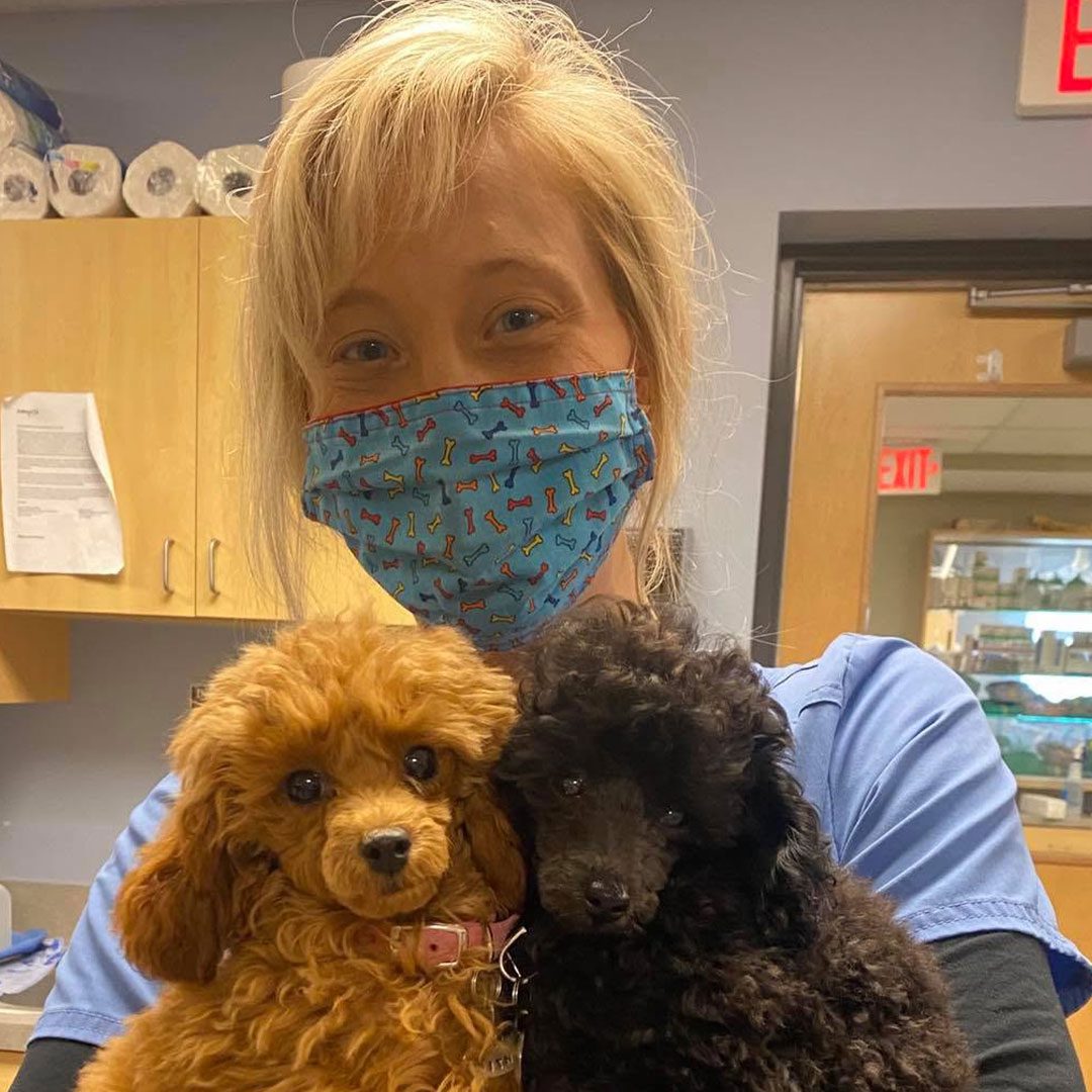 female staff member wearing a mask and holding two fluffy dogs